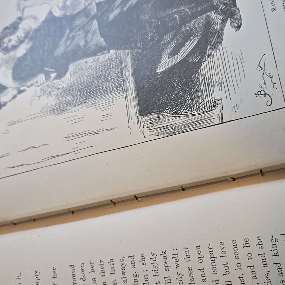 The Pilgrim's Progress Book, Perrless Edition, Published 1892 - Picture 7 of 12